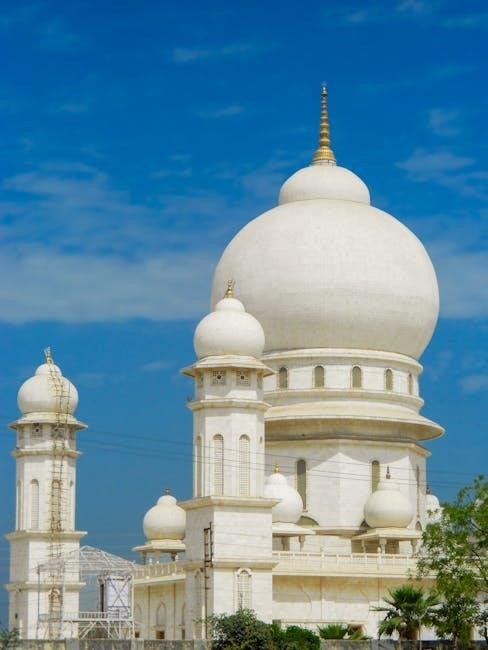 nikon coolpix p900 owners manual