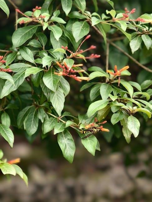 on awakening a.a. pdf